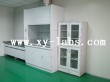 Perchloric Acid Fume Hoods