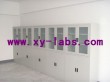 Perchloric Acid Fume Hoods