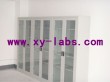 Lab Bio Safety Cabinets