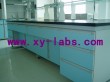 Lab Stoarge Cabinet