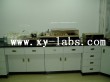 Lab Wall Cabinet