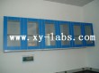 Lab Wall Cabinets