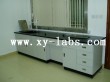 Lab Wall Cabinets