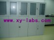 Laboratory Cabinet