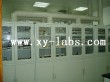 Laboratory Cabinet