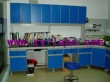 Laboratory Stoarge Cabinet