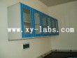 Metal Lab Wall Cabinet