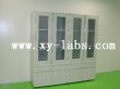 Metal Lab Wall Cabinet