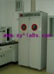 Solvent & Acid Cabinets