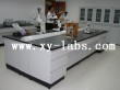 Phenolic Lab Tops