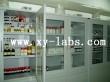 Lab Counter