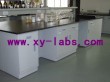 Lab Double Analytical Table