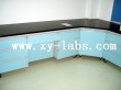 Laboratory Bench