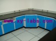Laboratory Double Analytical Table