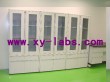 Laboratory Stoarge Cabinet