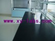 Laboratory Worksurfaces and Countertops