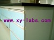 Metal Lab Wall Cabinet