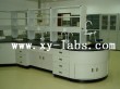 Laboratory Sink Bench