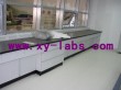 School Laboratory Table