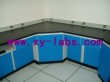 School Lab Bench