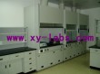 Horizontal Flow Hoods