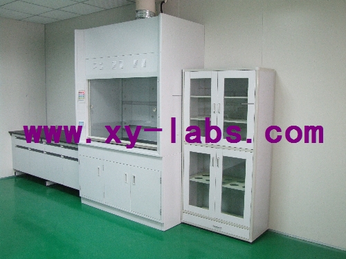 Lab Canopy Hoods