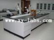 Lab Counter