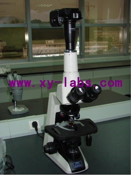 Lab Double Analytical Table