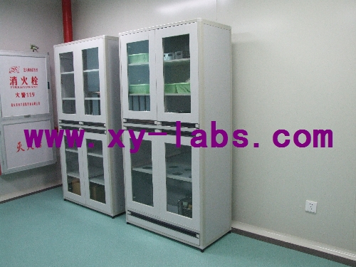 Lab Double-Leaf Cabinet