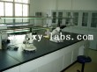 Lab Furniture