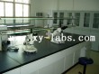 Lab Furniture Top