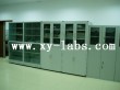 Lab Stoarge Cabinet