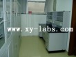 Lab Storage Cabinet