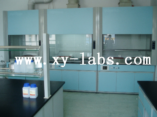 Laboratory ADA Fume Hoods