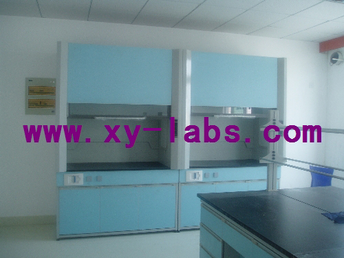 Laboratory Chemical Fume Hoods