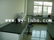 Laboratory Counters