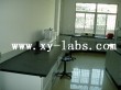 Laboratory Countertop