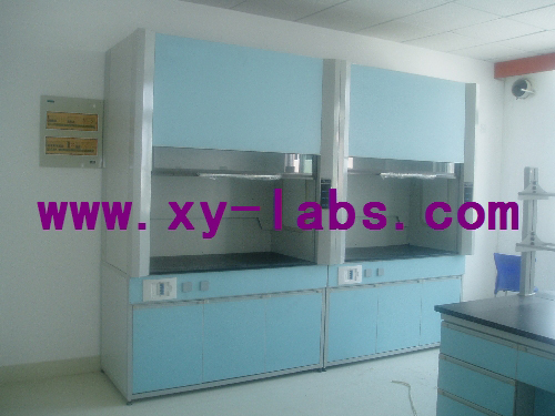 Laboratory Distillation Fume Hoods