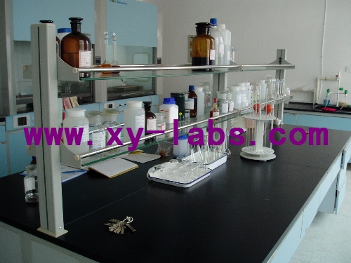 Laboratory Double Analytical Table
