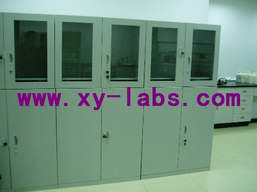 Laboratory Double-Leaf Cabinet