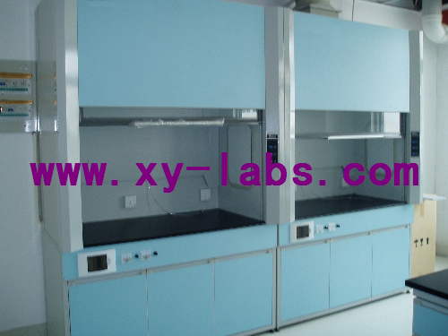 Laboratory Flat Front Fume Hood