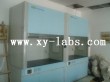 Laboratory Fume Cupboard