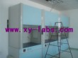 Laboratory Fume Hoods
