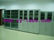 Laboratory Fume Hoods