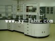 Laboratory Side Top