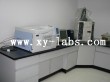 Laboratory Wall Bench