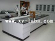 Laboratory Worksurfaces and Countertops