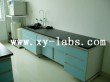 Laminated Laboratory Furniture