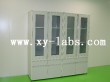 Sample of Bedroom Acid storage cabinet