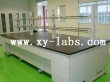 School Lab Bench